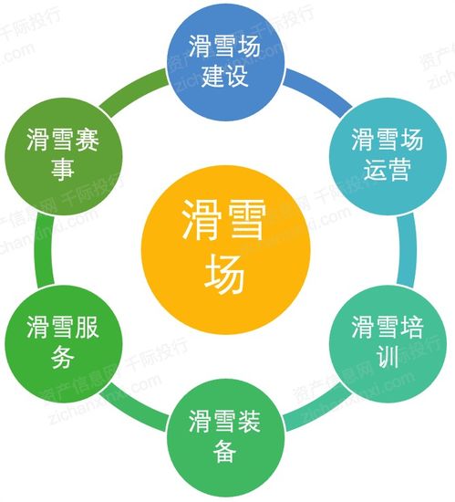 2021年冰雪產(chǎn)業(yè)發(fā)展研究報告